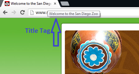 san diego zoo's title in the browser